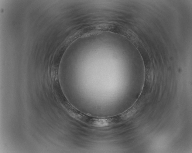 X0000067870091200604201229