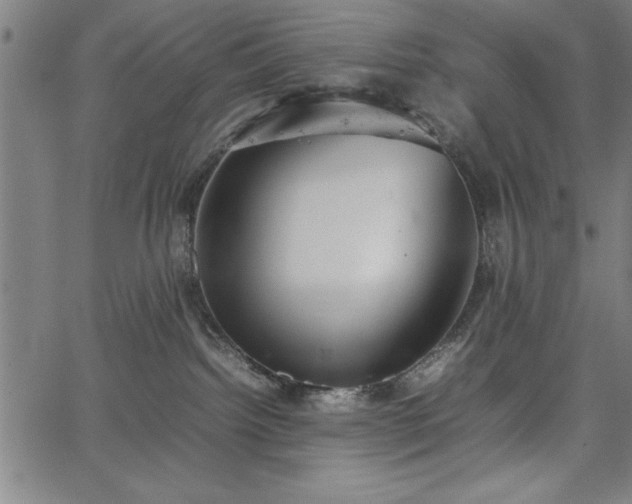 X0000067870092200604201229