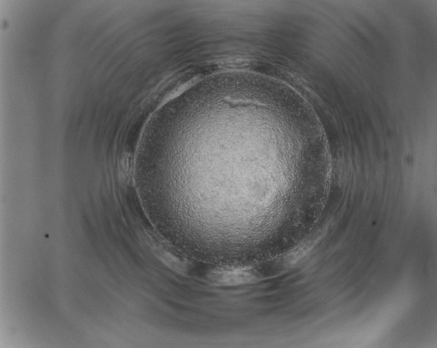 X0000067870093200604201229