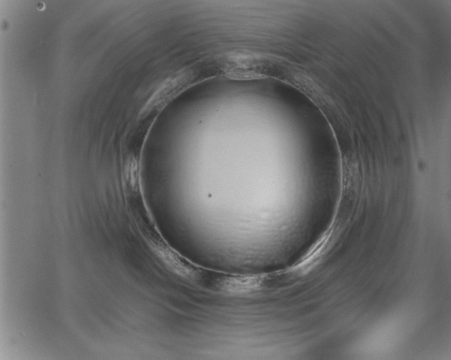 X0000067870094200604201229