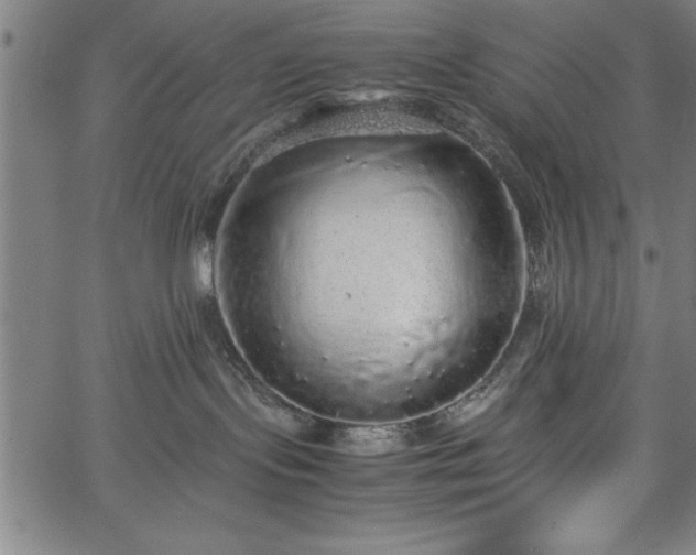 X0000067870095200604201229