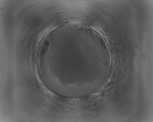 X0000067870097200604201228