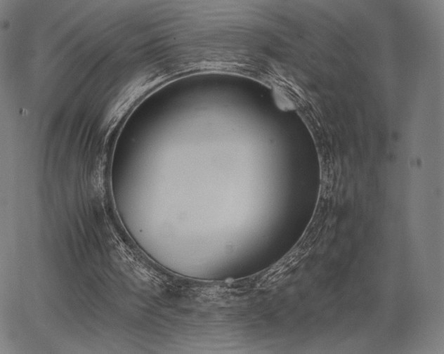 X0000067870098200604201228