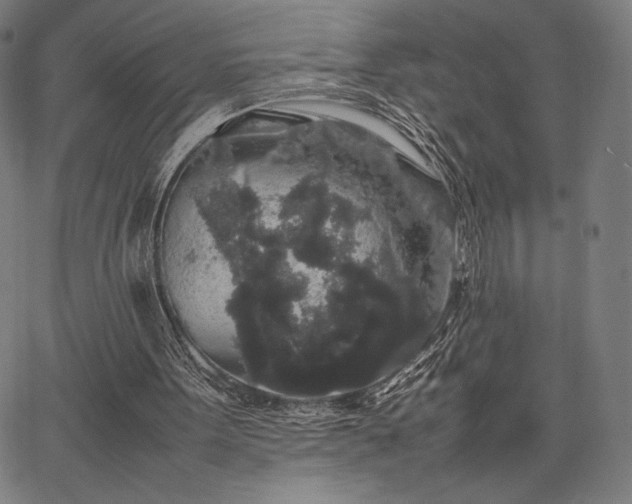 X0000067870099200604201228