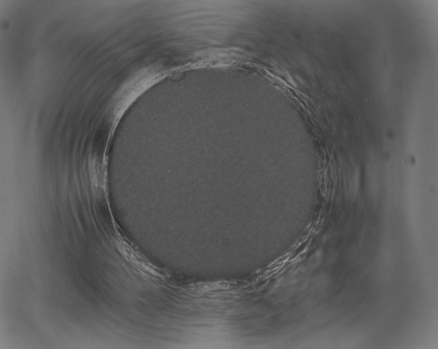 X0000067870100200604201228