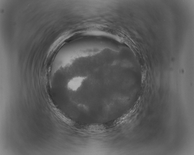 X0000067870101200604201228