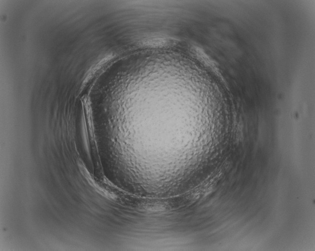 X0000067870106200604201228