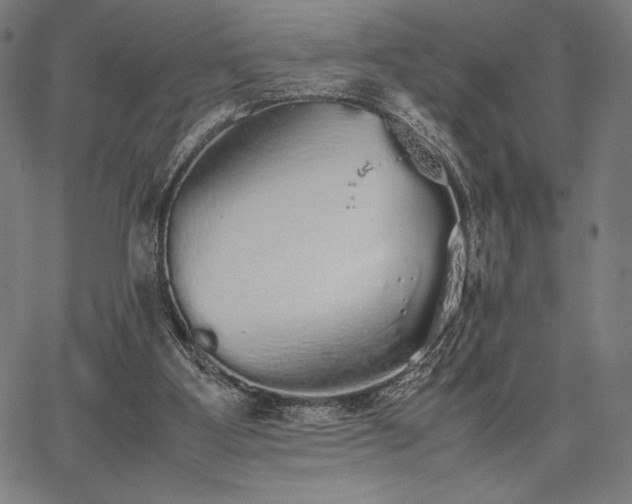 X0000067870107200604201228