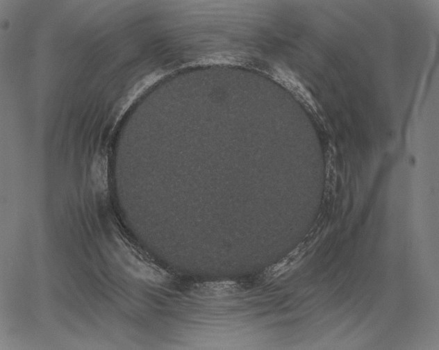 X0000067870108200604201228