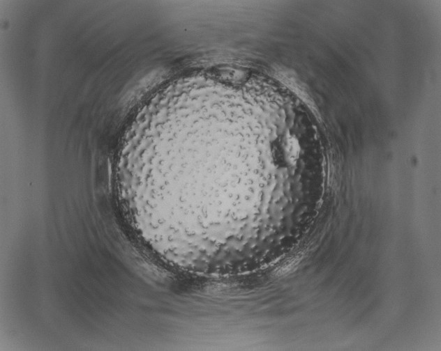 X0000067870109200604201228