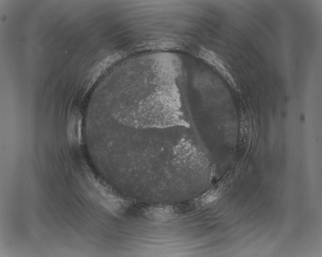 X0000067870110200604201228