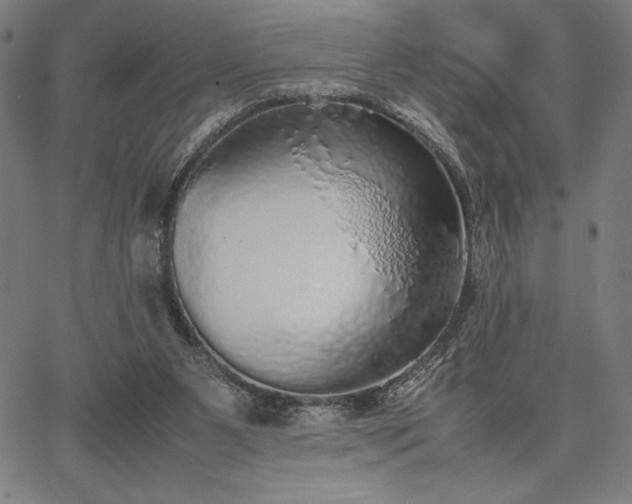 X0000067870111200604201228