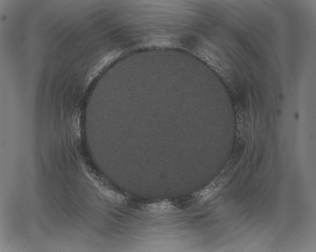 X0000067870112200604201228