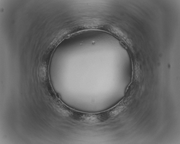 X0000067870113200604201228