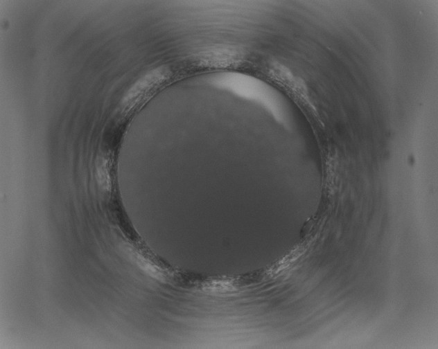 X0000067870114200604201228