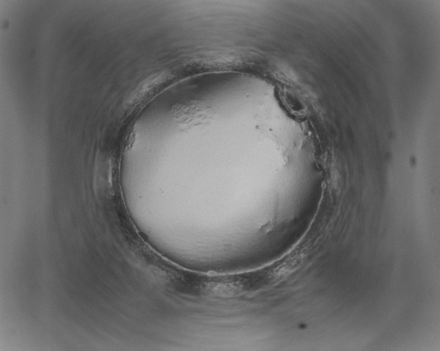 X0000067870115200604201228