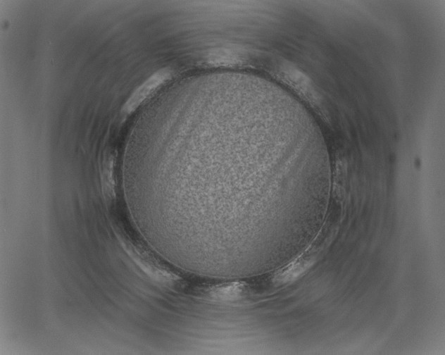 X0000067870116200604201228