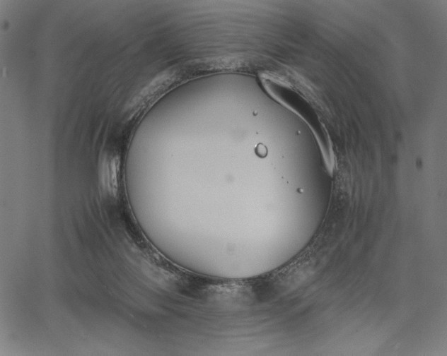 X0000067870118200604201228