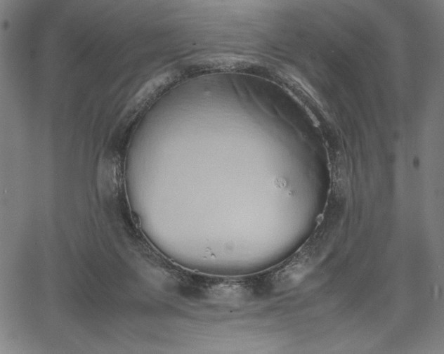 X0000067870119200604201228