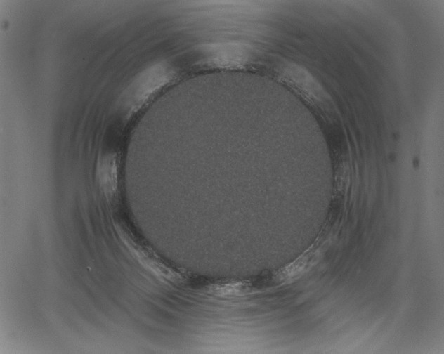 X0000067870120200604201228