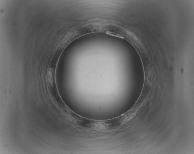 X0000067870121200604201228