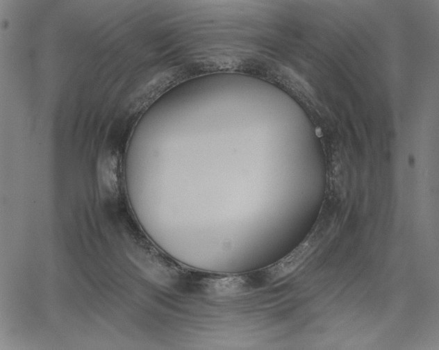 X0000067870122200604201228