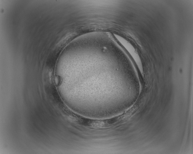 X0000067870123200604201228