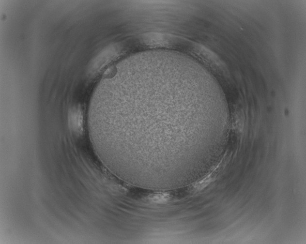 X0000067870124200604201228