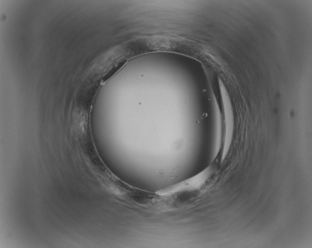 X0000067870125200604201228