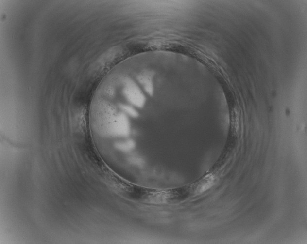 X0000067870127200604201228