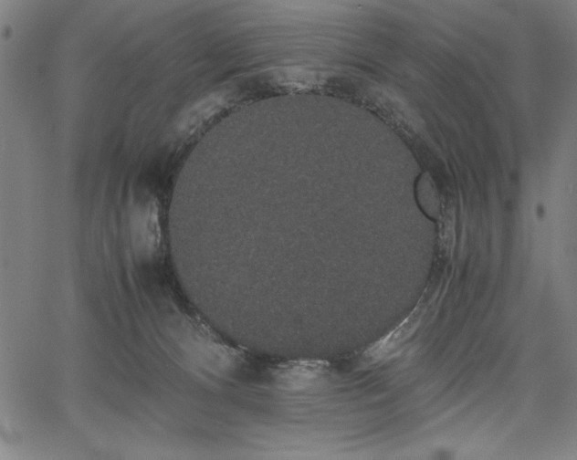 X0000067870128200604201228