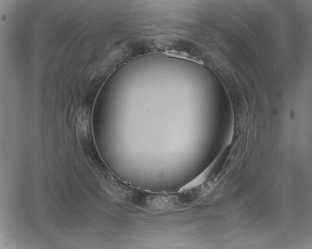 X0000067870129200604201228