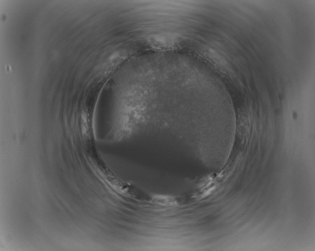 X0000067870130200604201228