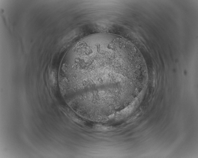 X0000067870131200604201228