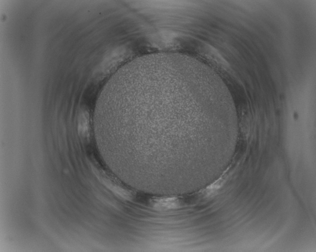 X0000067870132200604201227