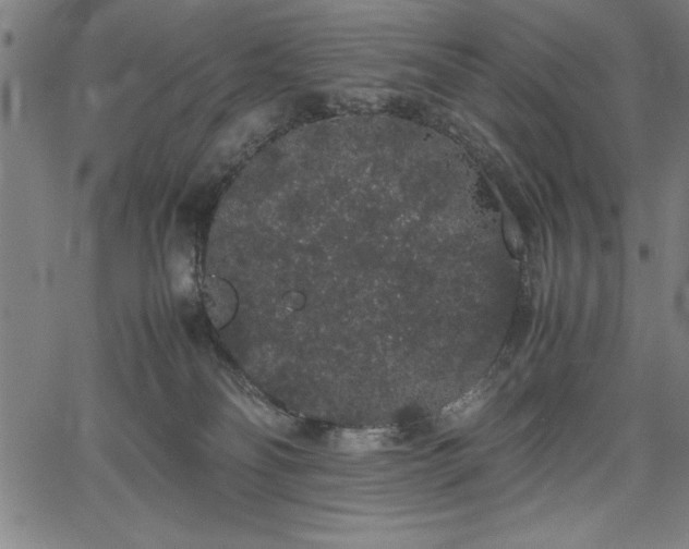 X0000067870134200604201227