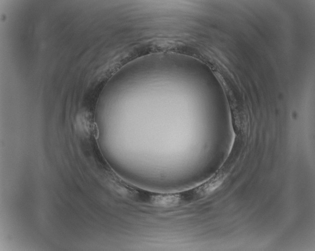 X0000067870135200604201227