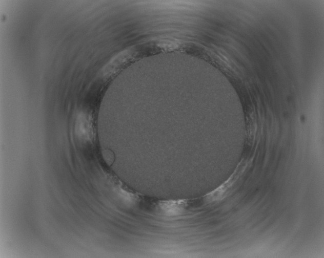 X0000067870136200604201227