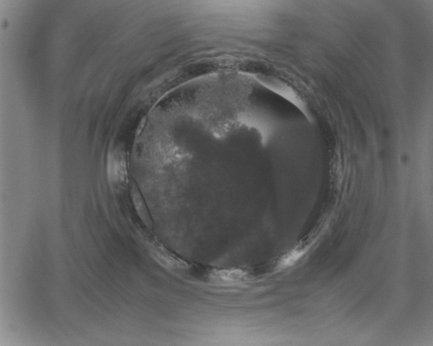 X0000067870137200604201227