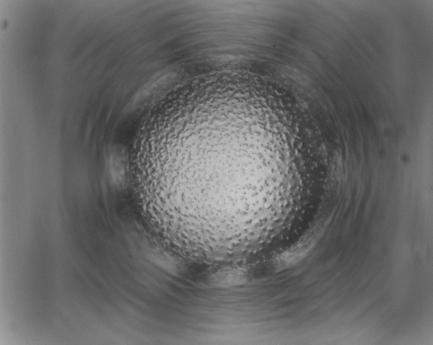 X0000067870138200604201227