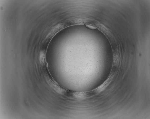 X0000067870142200604201227