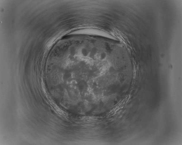 X0000067870145200604201227