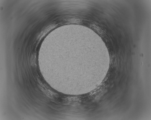 X0000067870146200604201227