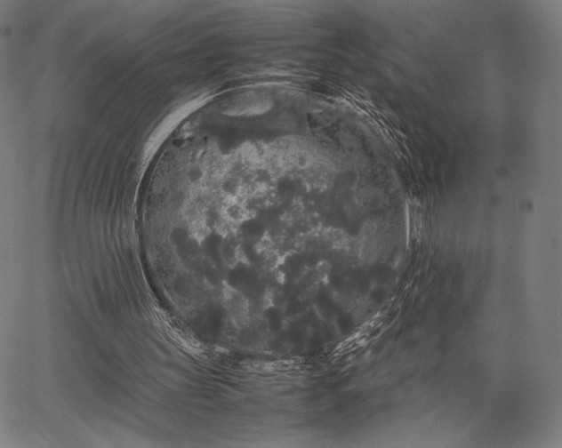 X0000067870147200604201227