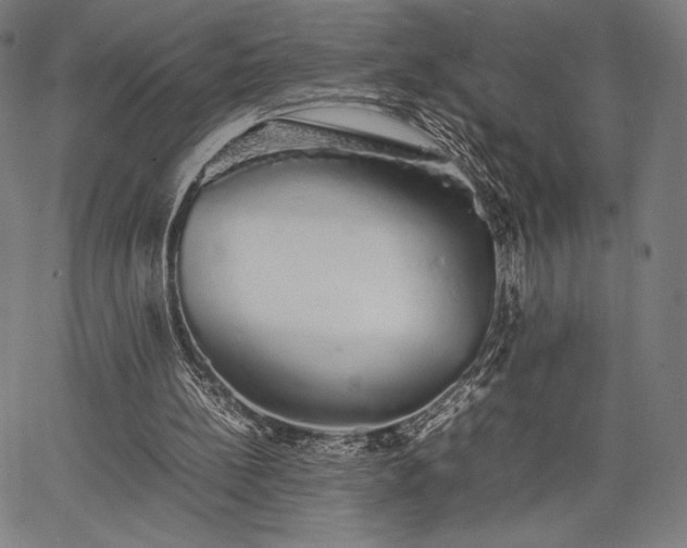 X0000067870148200604201227