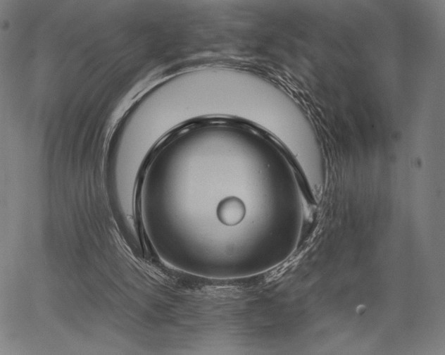 X0000067870150200604201227