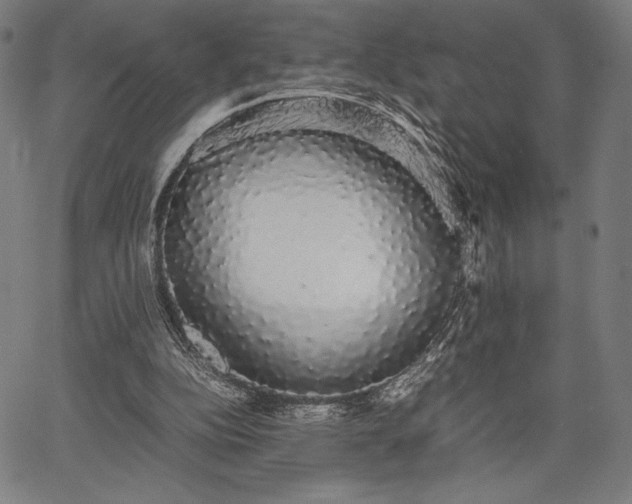 X0000067870152200604201227