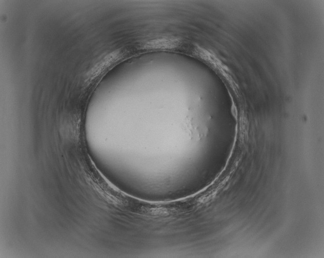 X0000067870153200604201227