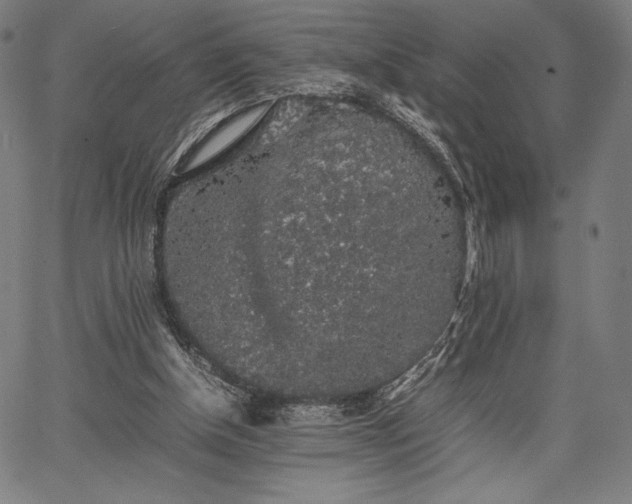 X0000067870154200604201227