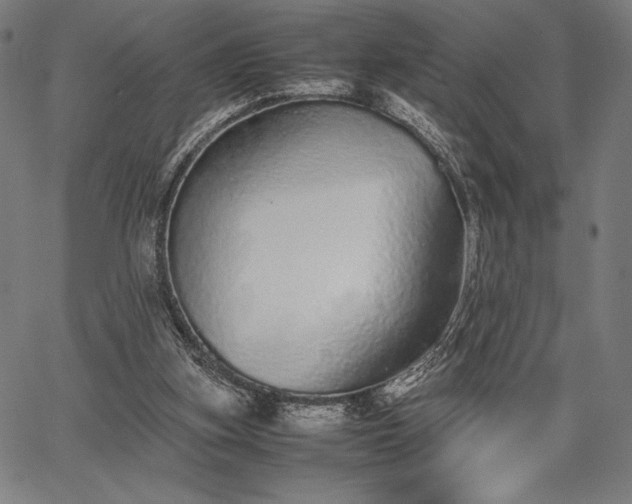 X0000067870155200604201227